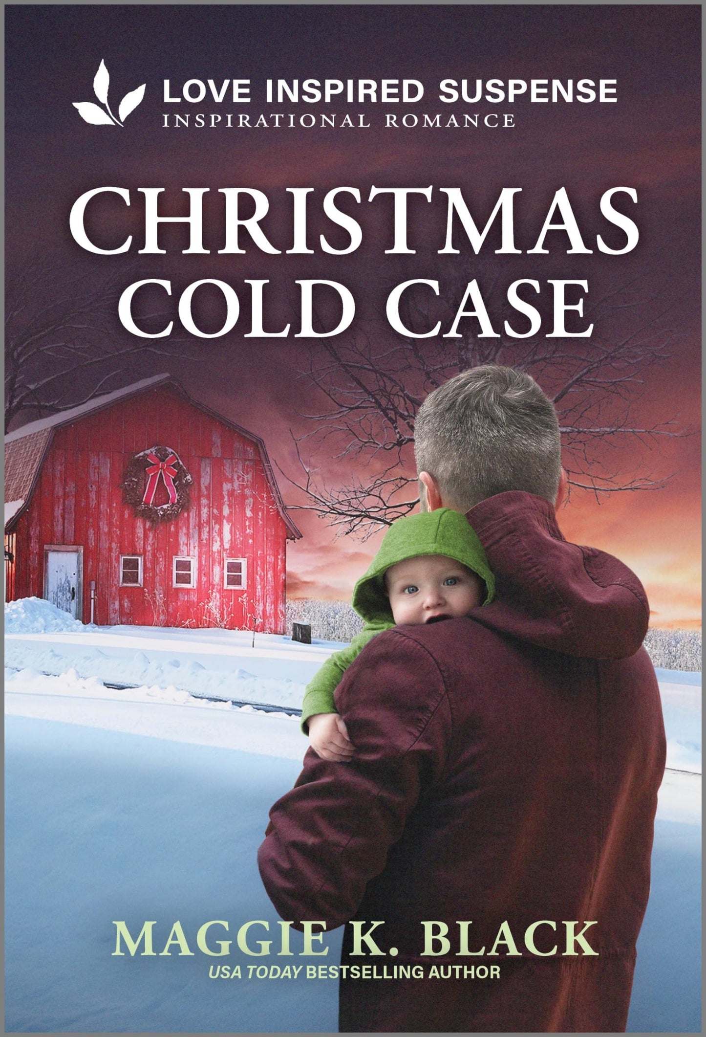 Christmas Cold Case (Unsolved Case Files, 2)