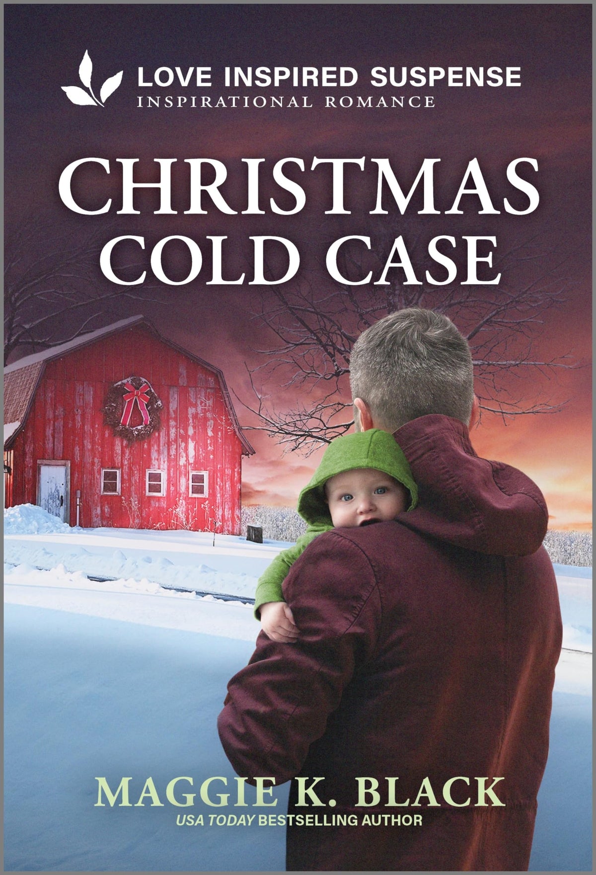 Christmas Cold Case (Unsolved Case Files, 2)