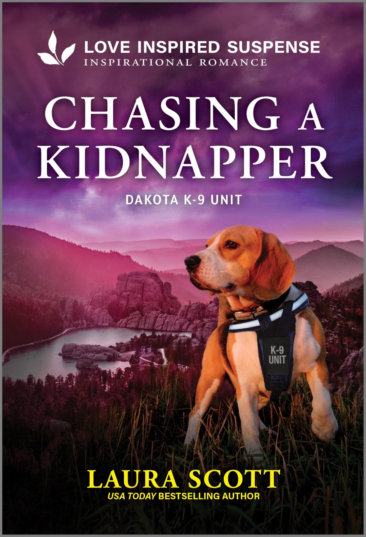 Chasing a Kidnapper (Dakota K-9 Unit, 1)
