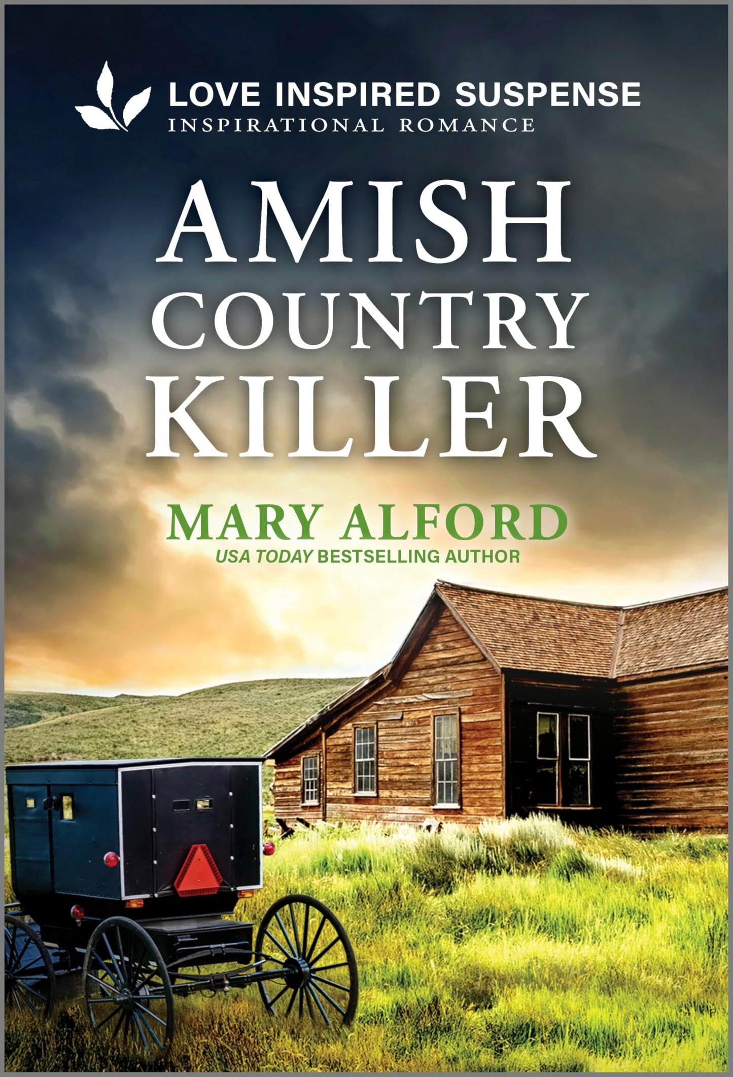 Amish Country Killer: A Gripping Cold Case Inspirational Suspense Romance (Love Inspired Suspense)