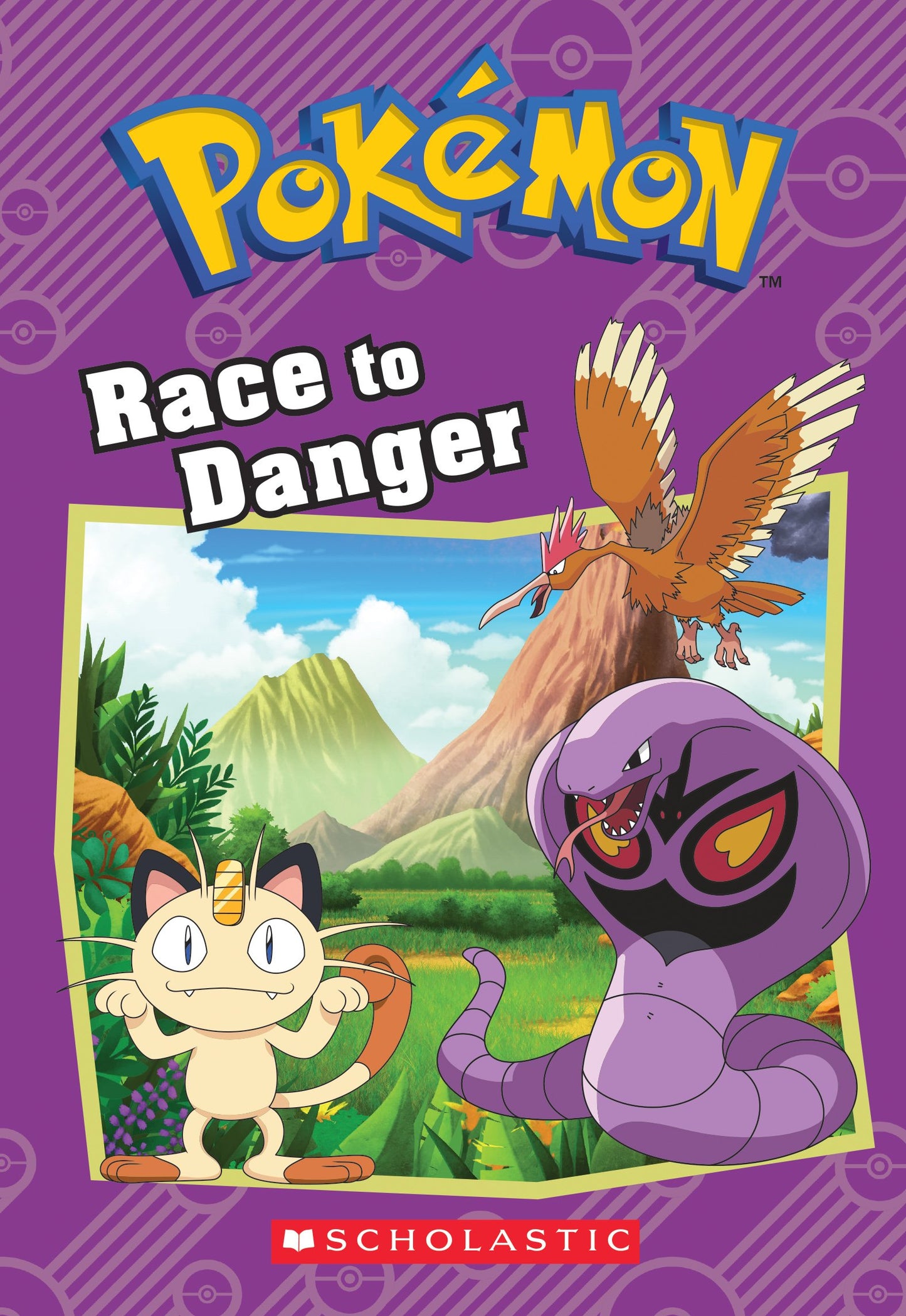 Race to Danger (Pokmon: Chapter Book) (Pokmon Chapter Books)