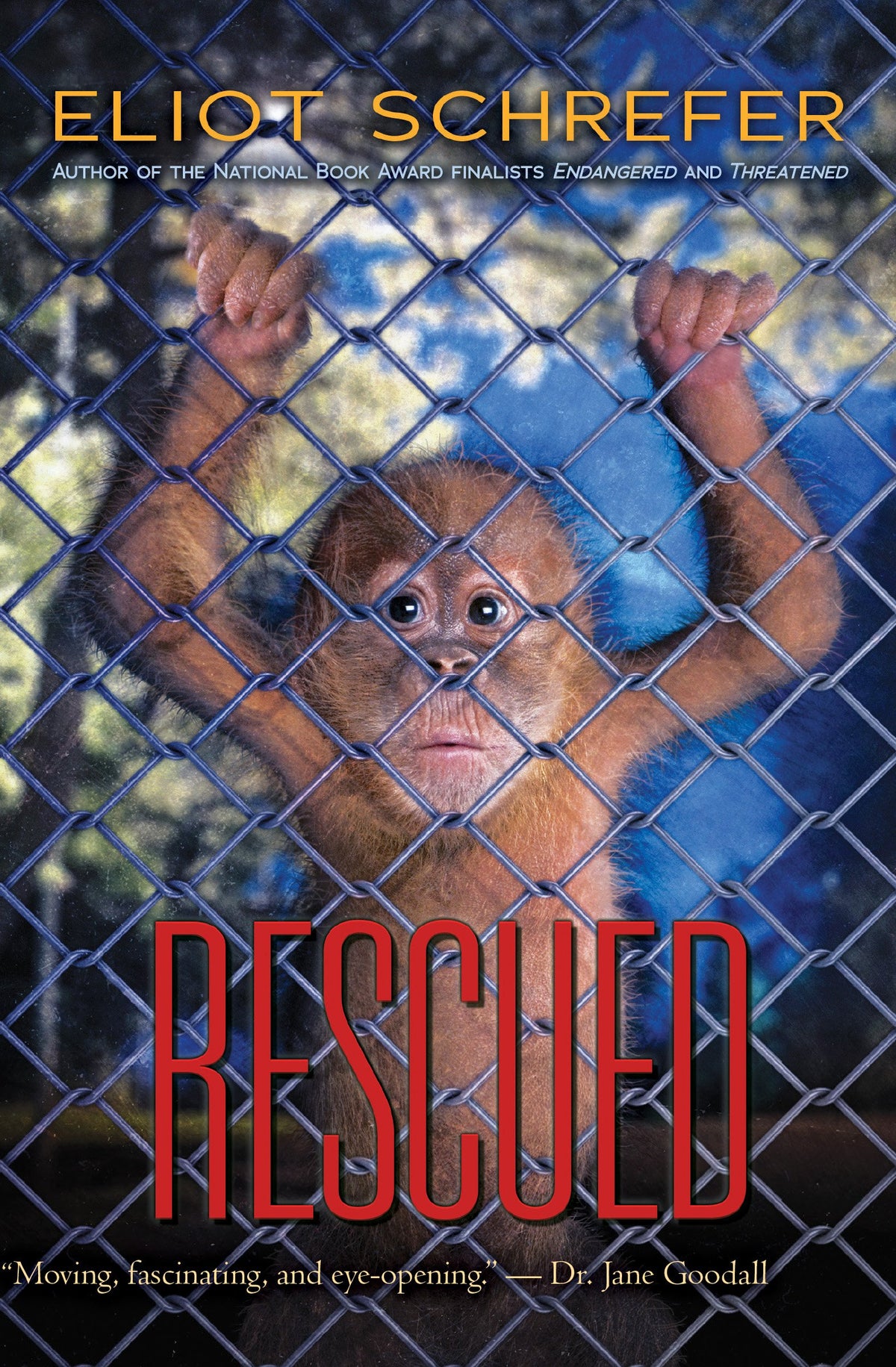 Rescued (Ape Quartet)
