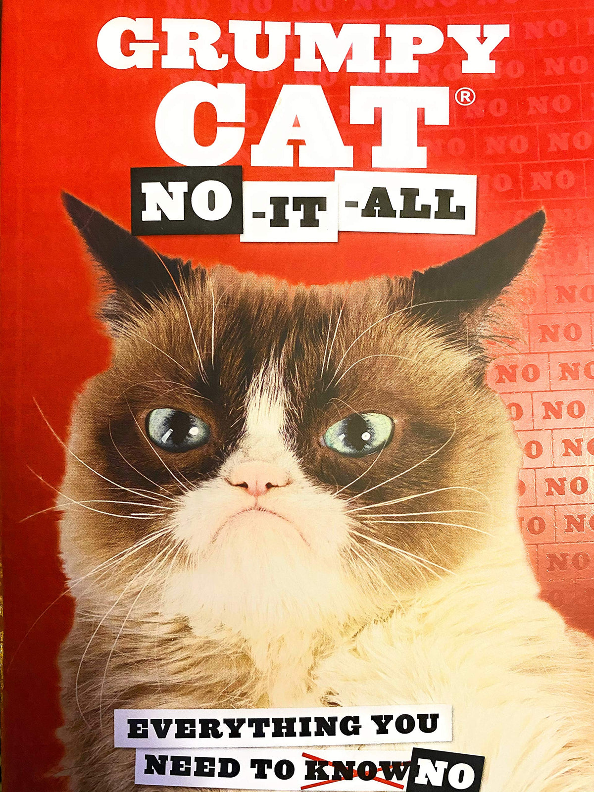 Grumpy Cat: No-it-all : Everything You Need to No