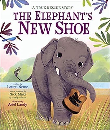 The Elephant's New Shoe