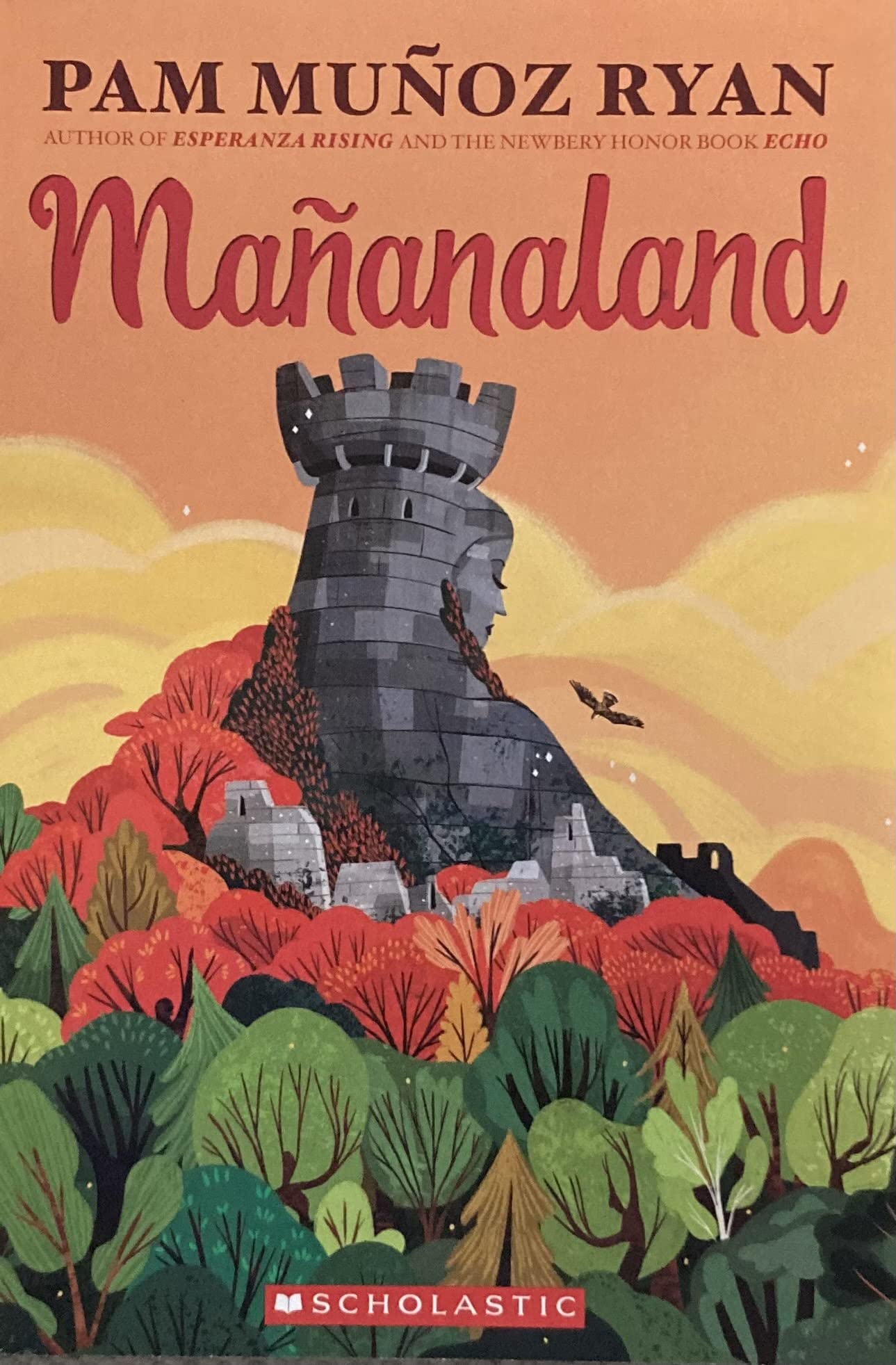 The book Mañanaland