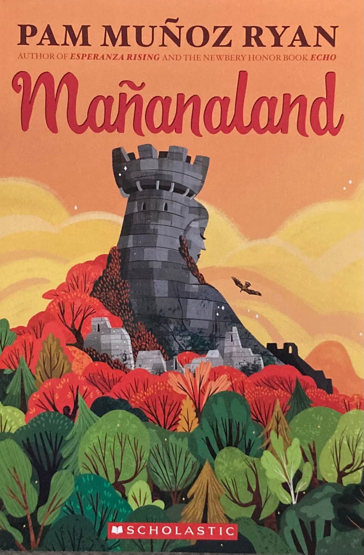 The book Mañanaland