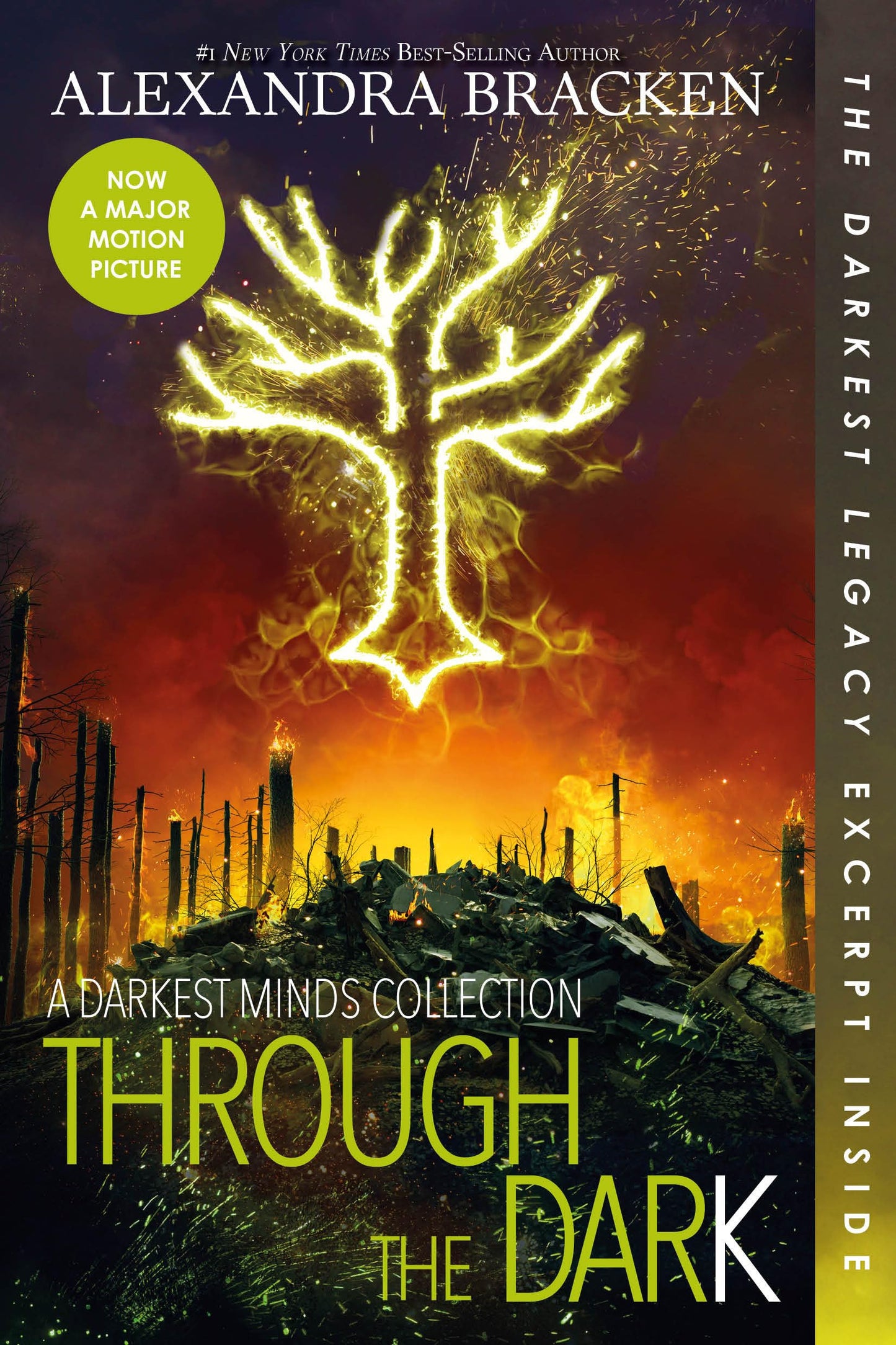 Through the Dark (Bonus Content)-A Darkest Minds Collection (A Darkest Minds Novel)