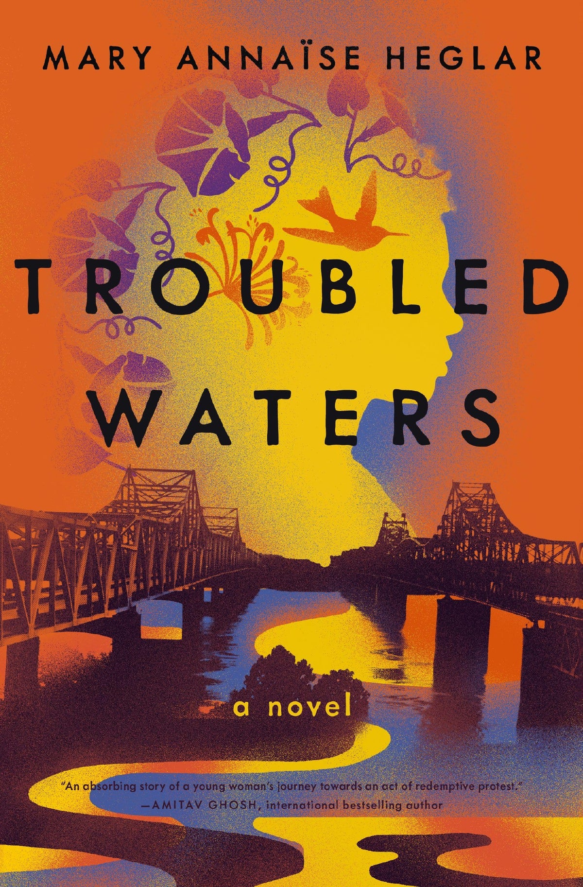 Troubled Waters: A Novel