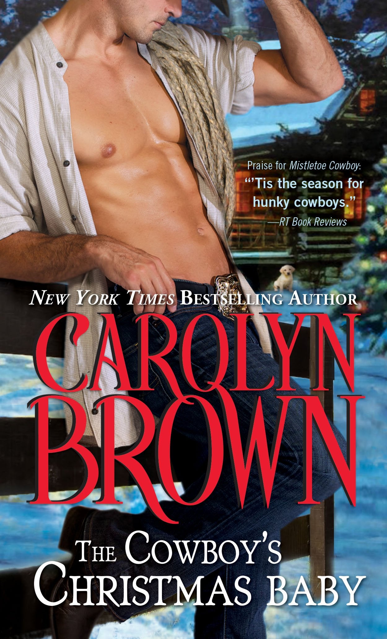 The Cowboy's Christmas Baby (Cowboys & Brides, 2)