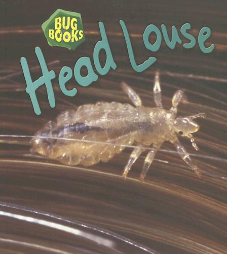 Head Louse (Bug Books)