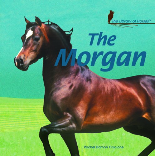 The Morgan (The Library of Horses)