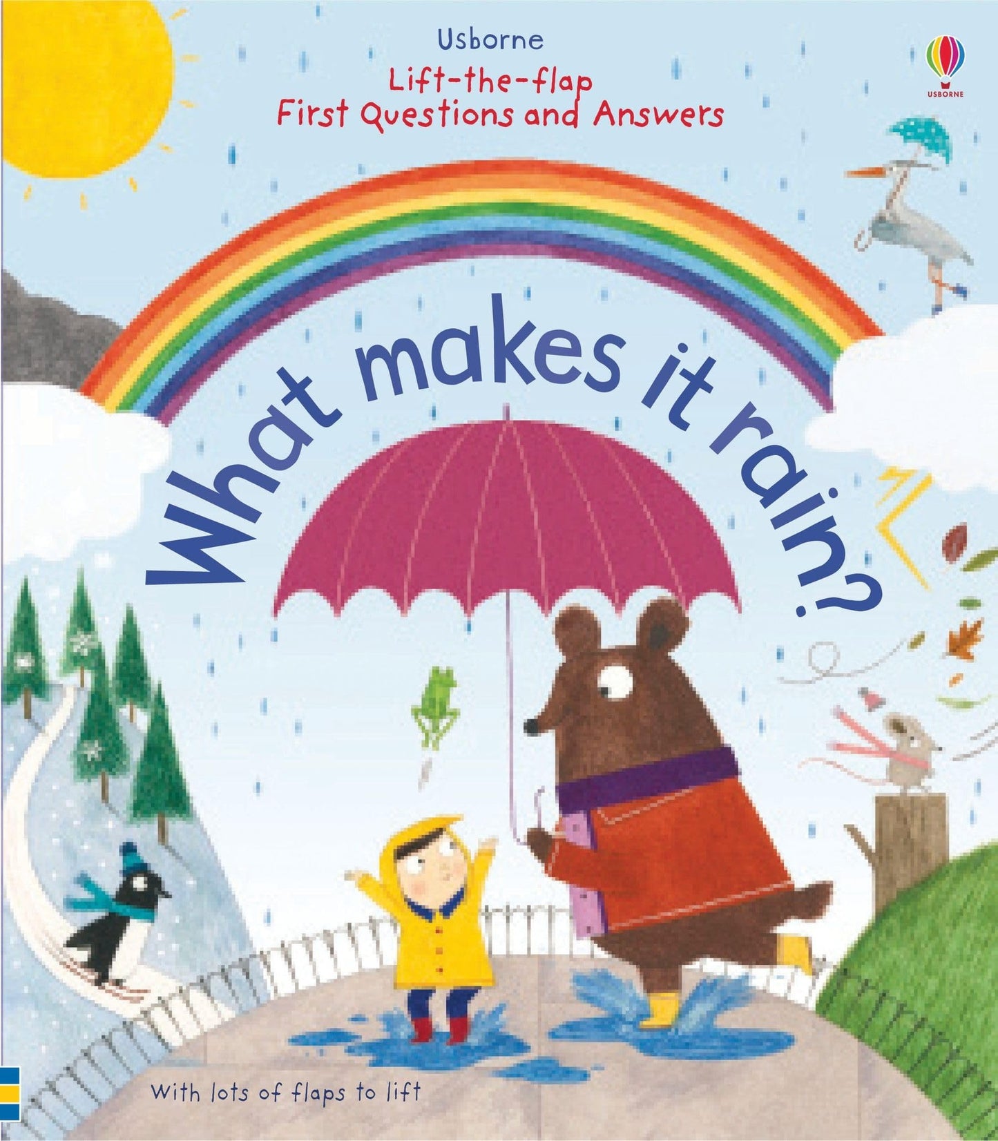 Lift The Flap First Q&A What Makes Rain
