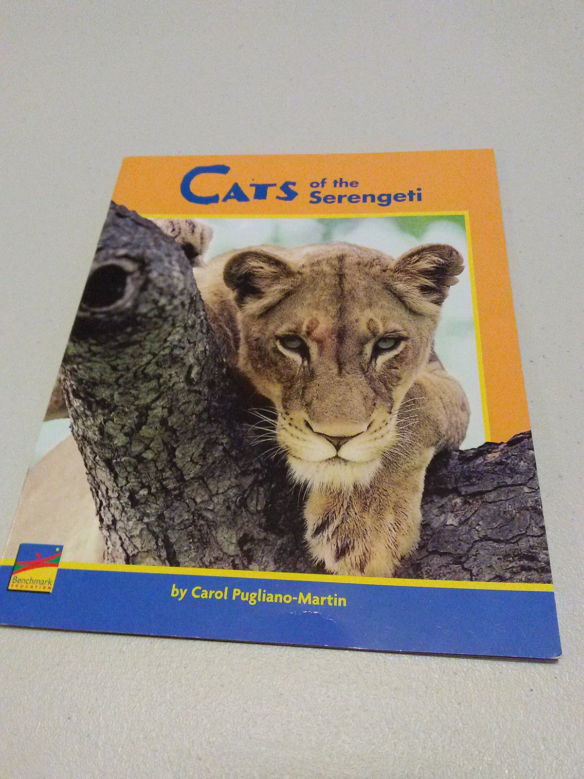 Cats of the Serengeti