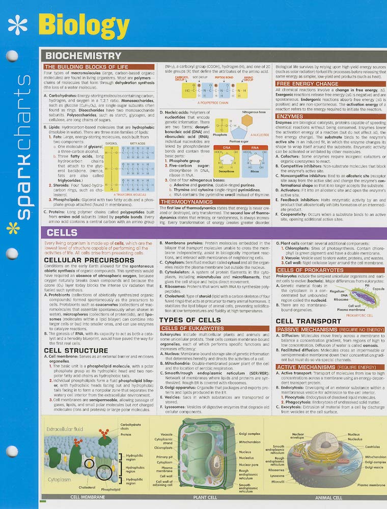 Biology SparkCharts (Volume 6)