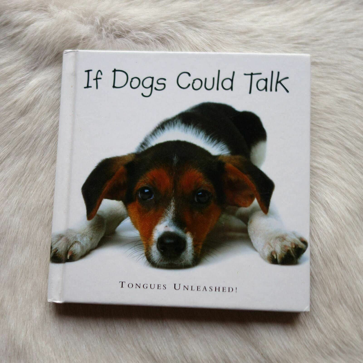 If Dogs Could Talk: Tongues Unleashed!