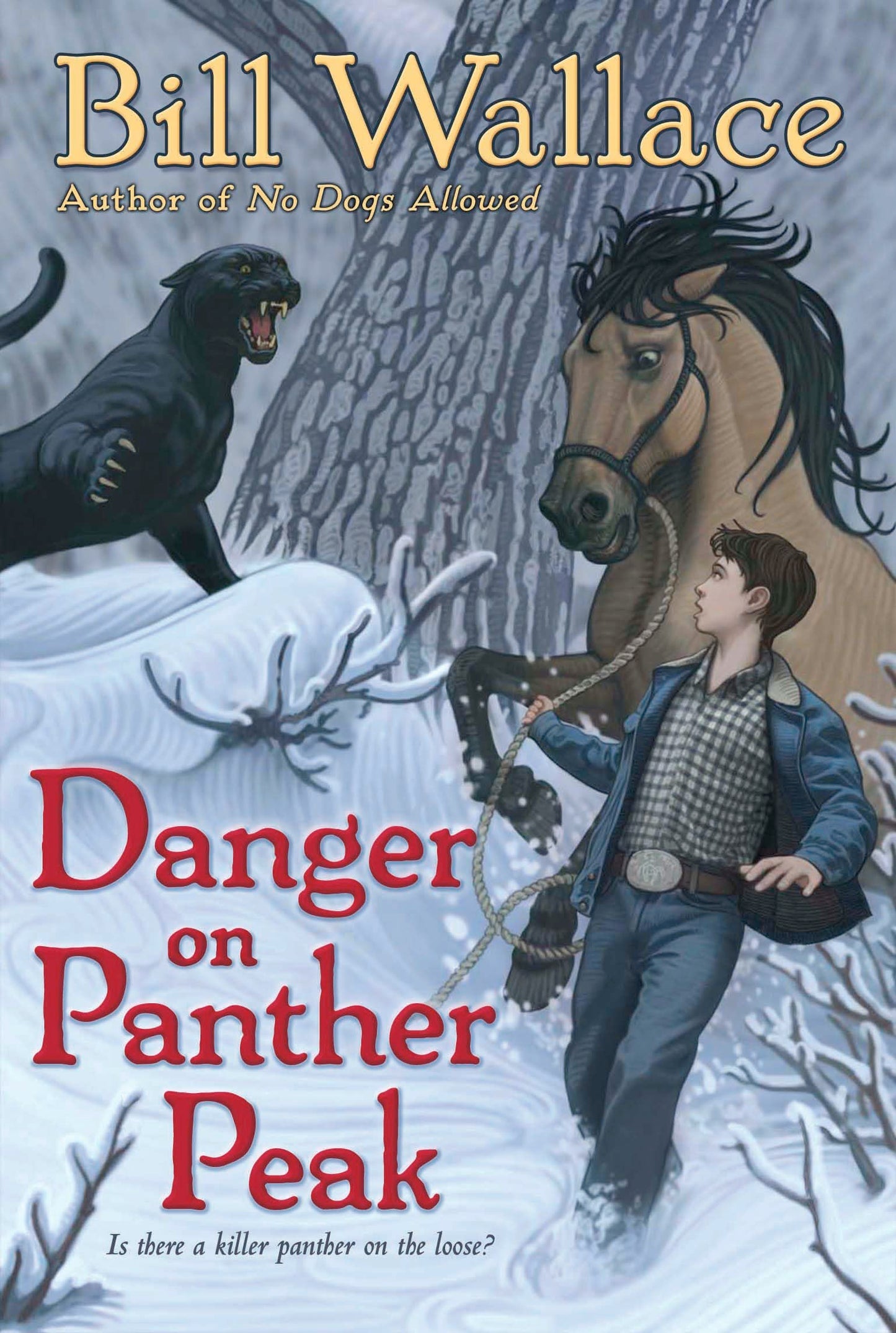 Danger on Panther Peak
