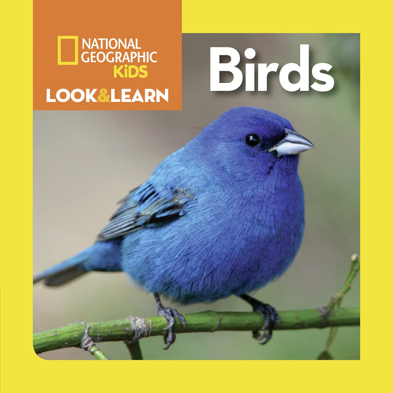 National Geographic Kids Look & Learn: Birds