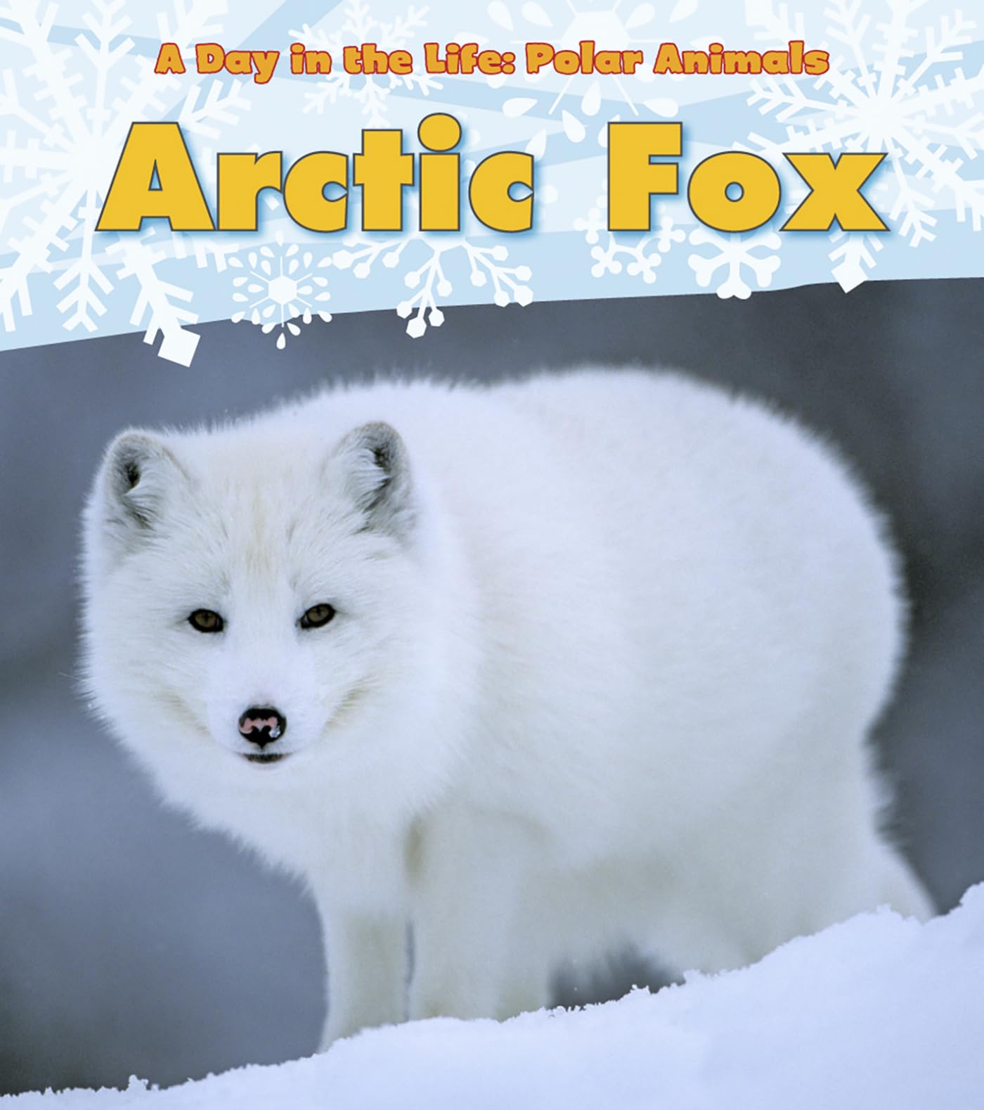Arctic Fox (A Day in the Life: Polar Animals: Heinemann Read and Learn: Level K)