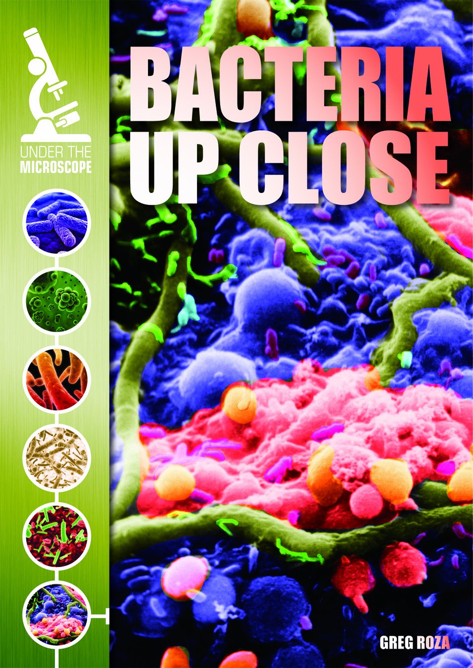 Bacteria Up Close (Under the Microscope)