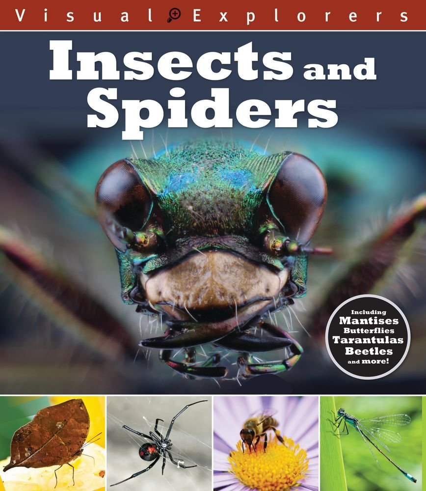 Insects and Spiders (Visual Explorers)