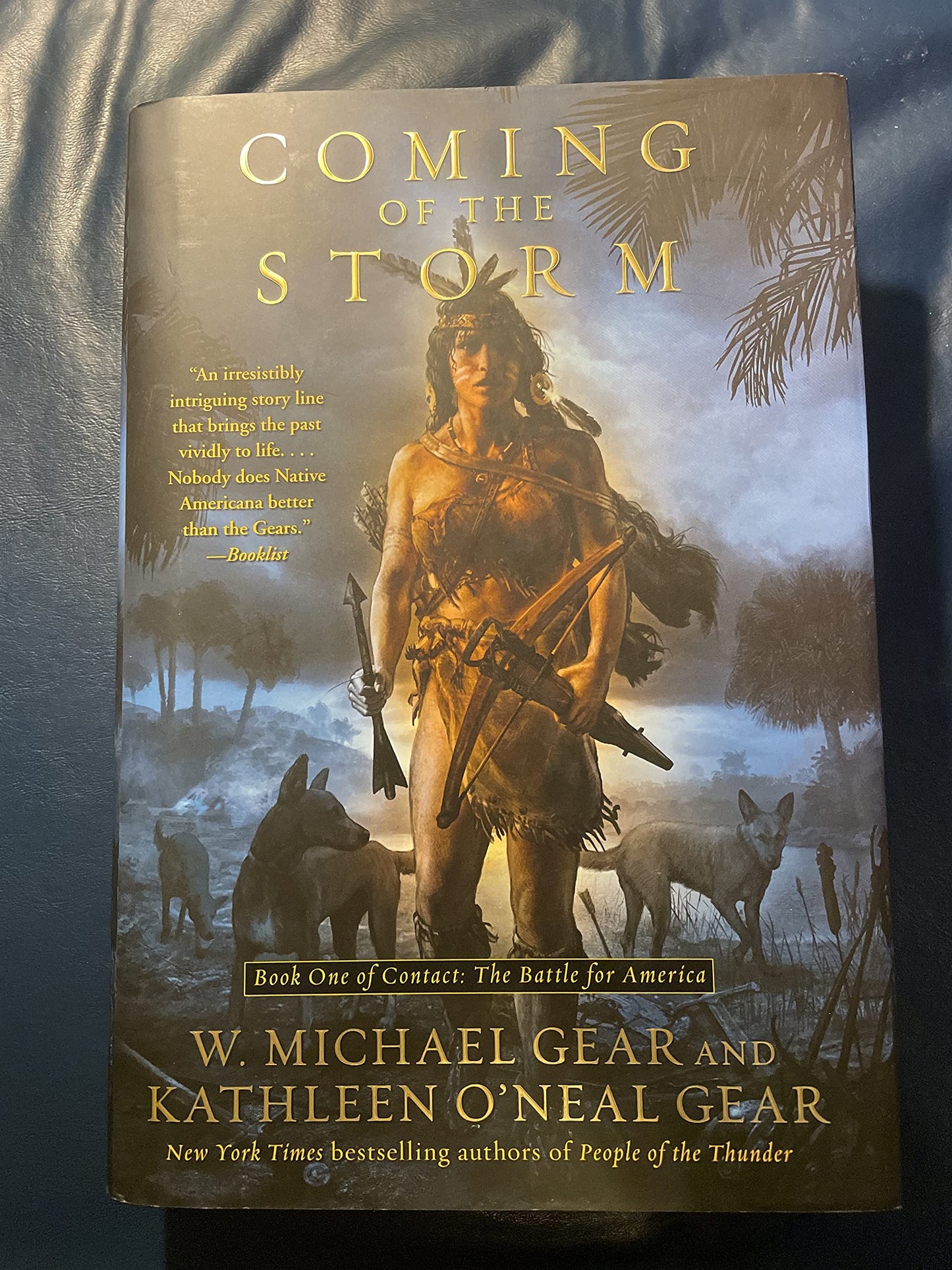 Coming of the Storm (Contact the Battle for America, Book 1)
