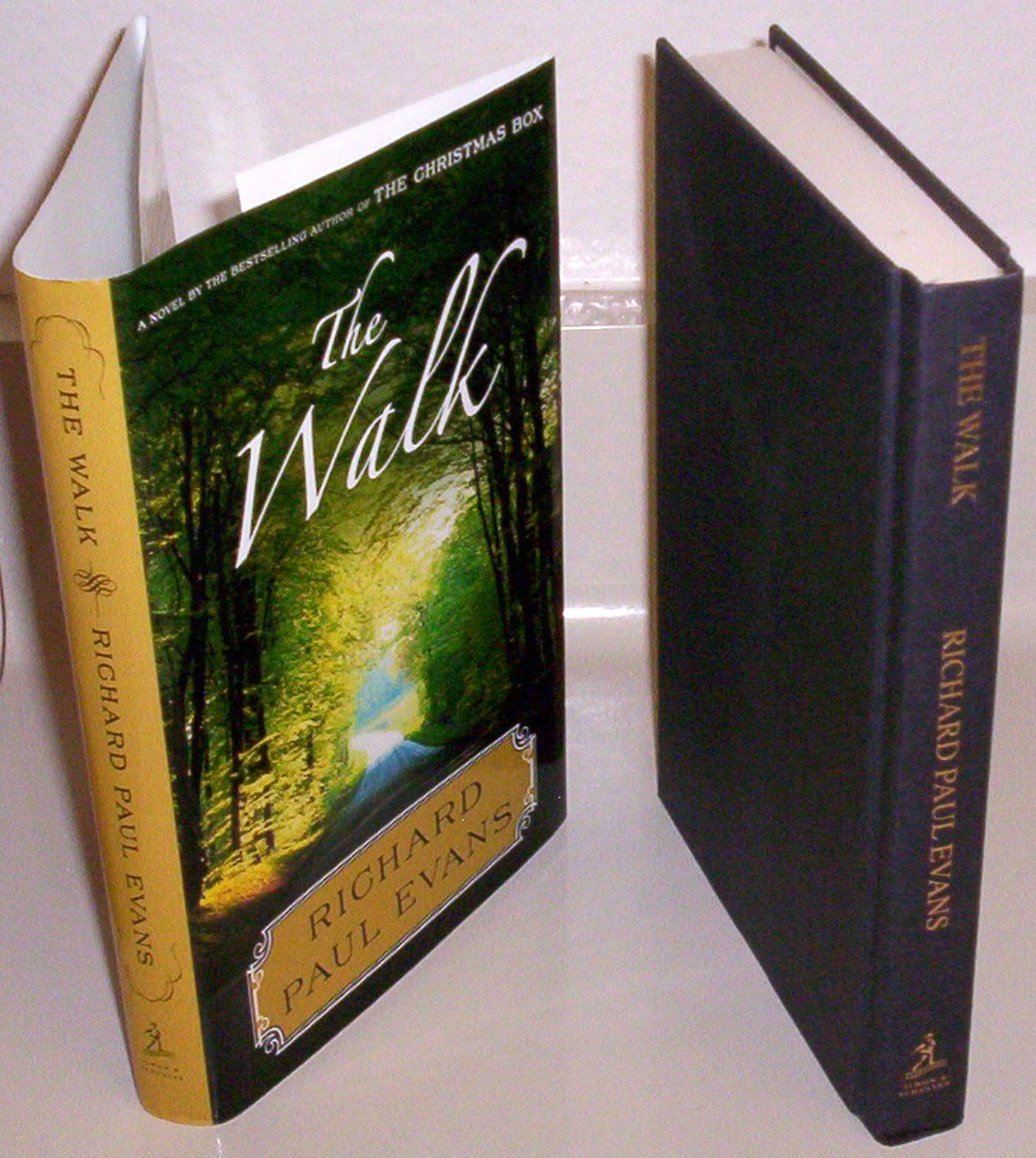 The Walk: A Novel (Walk Series, 1)