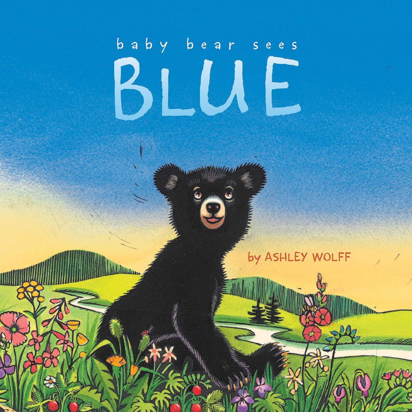 Baby Bear Sees Blue