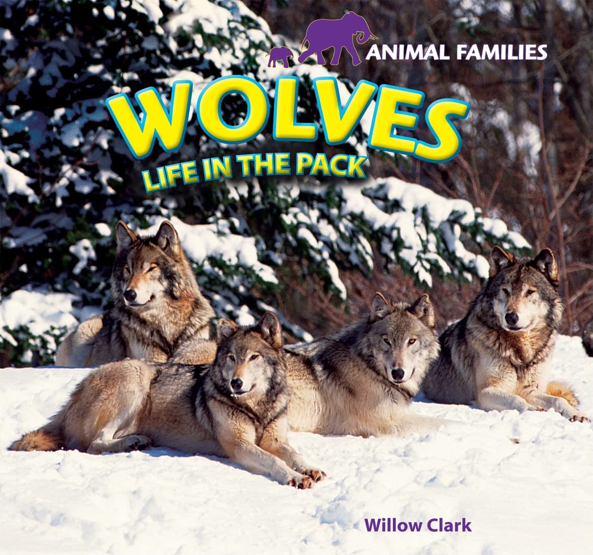 Wolves: Life in the Pack (Animal Families)