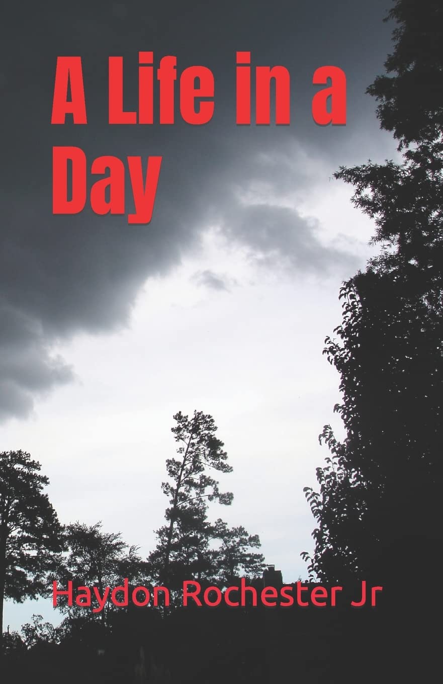 A Life in a Day