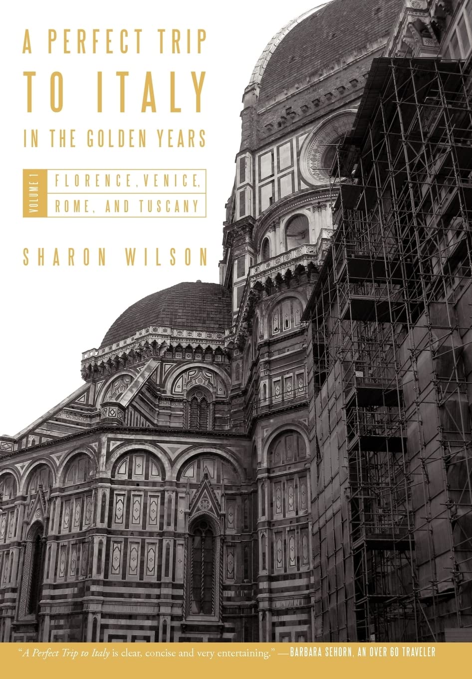 A Perfect Trip to Italy-in the Golden Years: Volume 1: Florence, Venice, Rome, and Tuscany