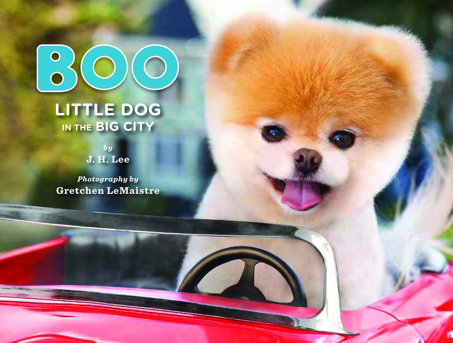 Boo: Little Dog in the Big City