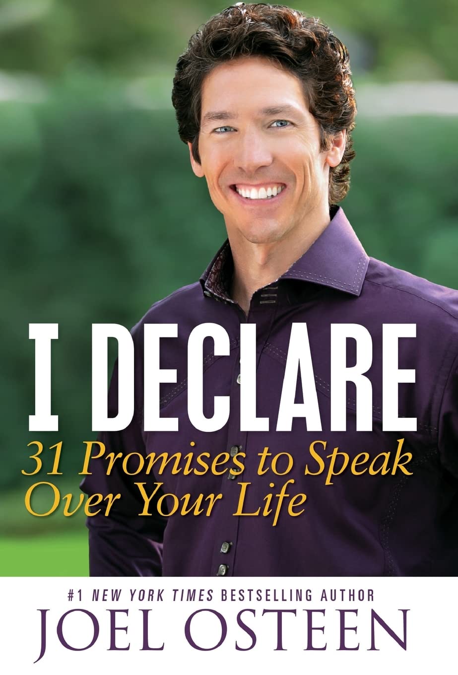 I DECLARE: 31 PROMISES TO SPEAK