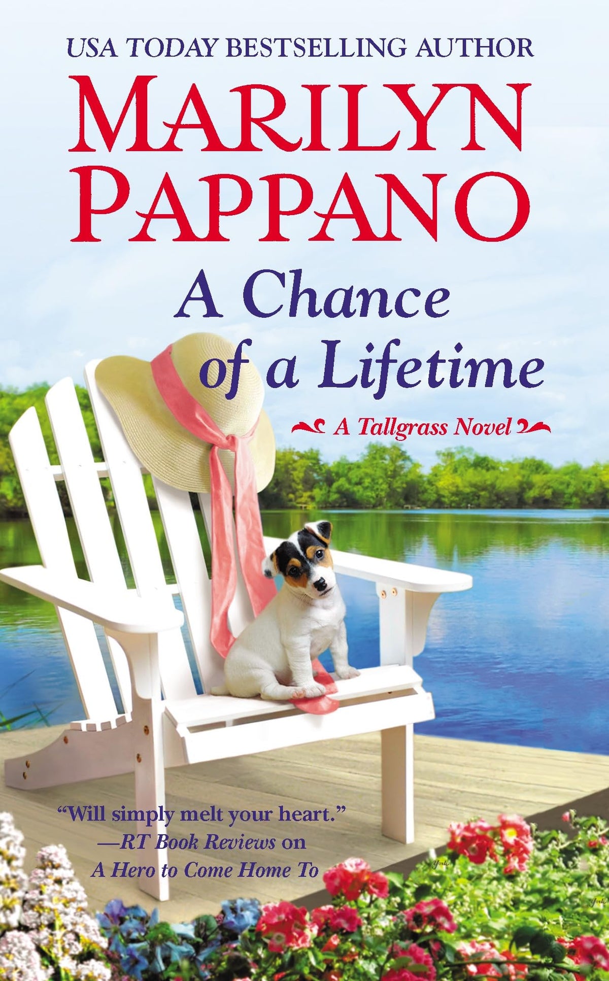 A Chance of a Lifetime (A Tallgrass Novel, 5)