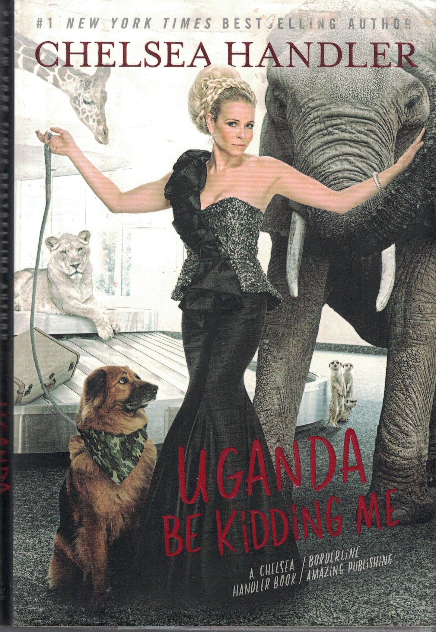 Uganda Be Kidding Me
