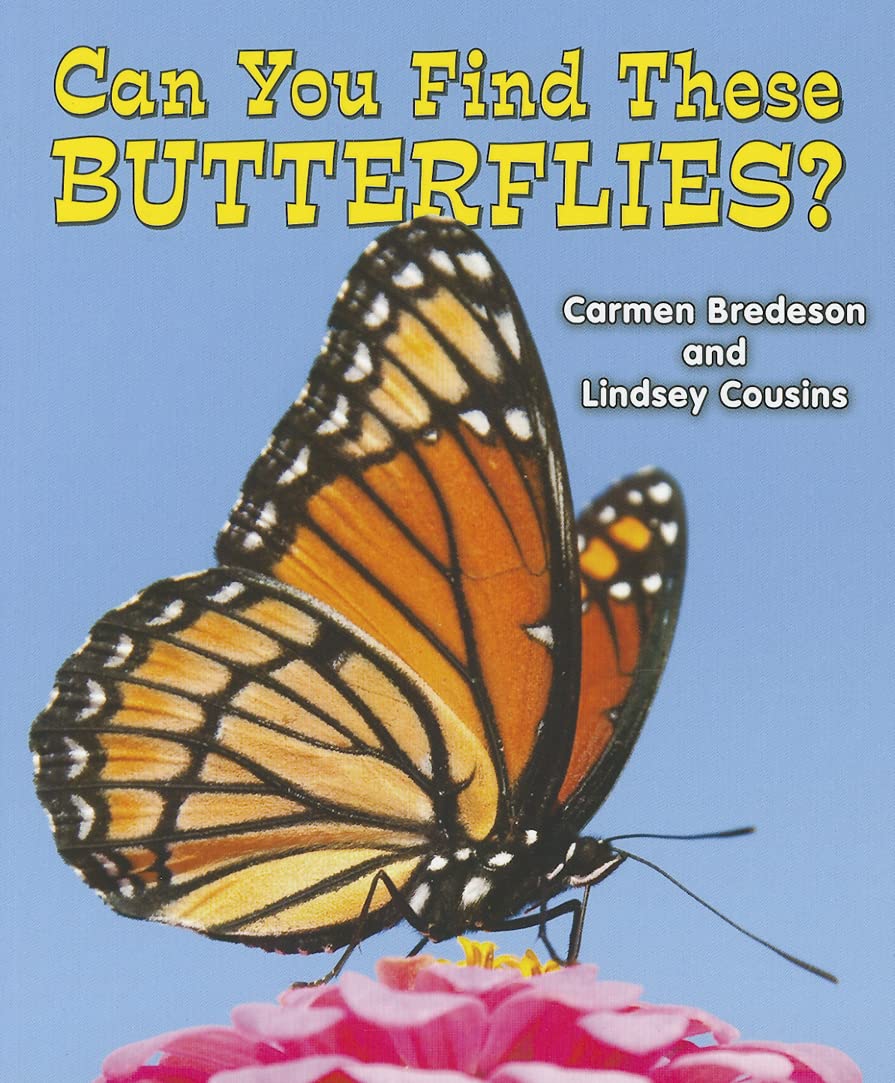 Can You Find These Butterflies? (All About Nature)
