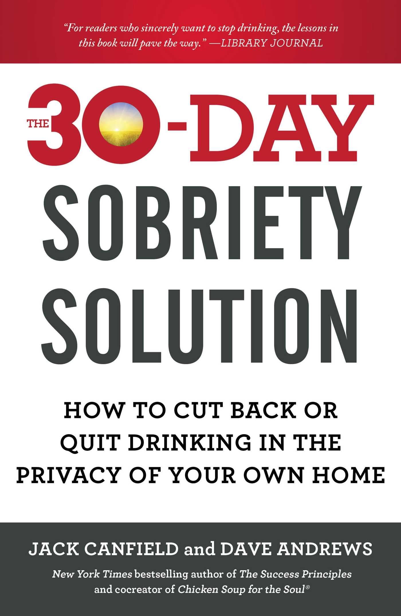 The 30-Day Sobriety Solution: How to Cut Back or Quit Drinking in the Privacy of Your Own Home - 554