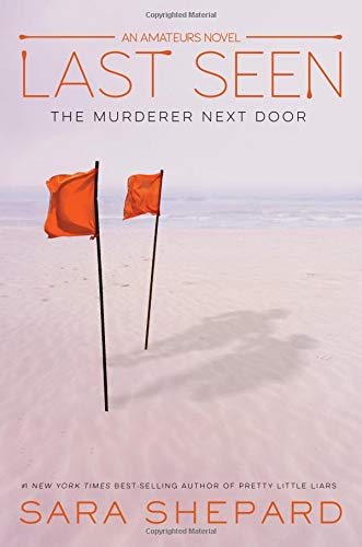 Last Seen (The Amateurs, 3)