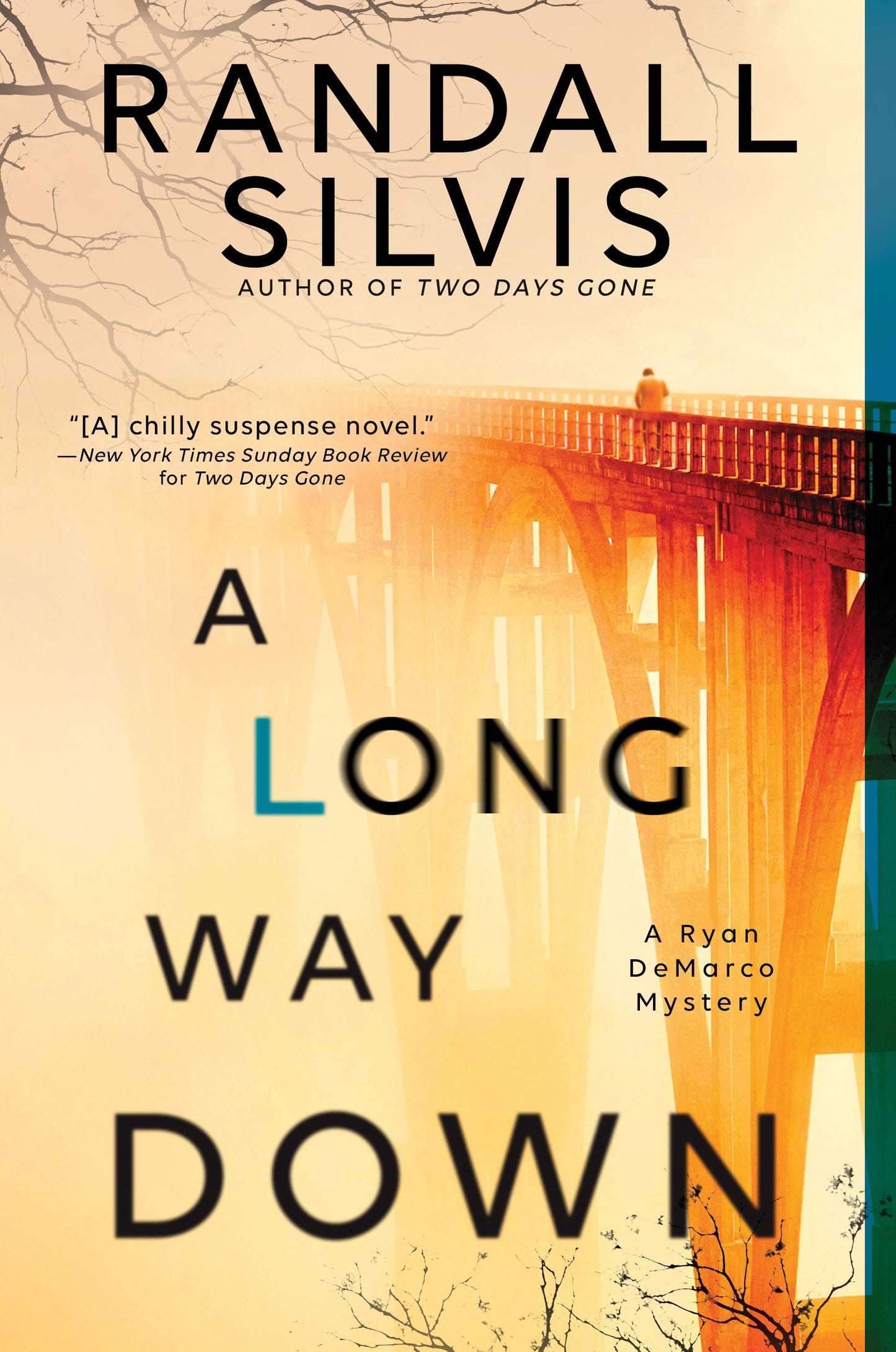 A Long Way Down: A Literary Thriller