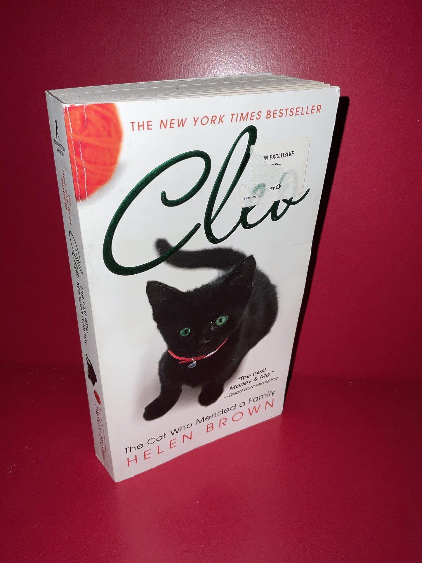 CLEO: The Cat Who Mended a Family
