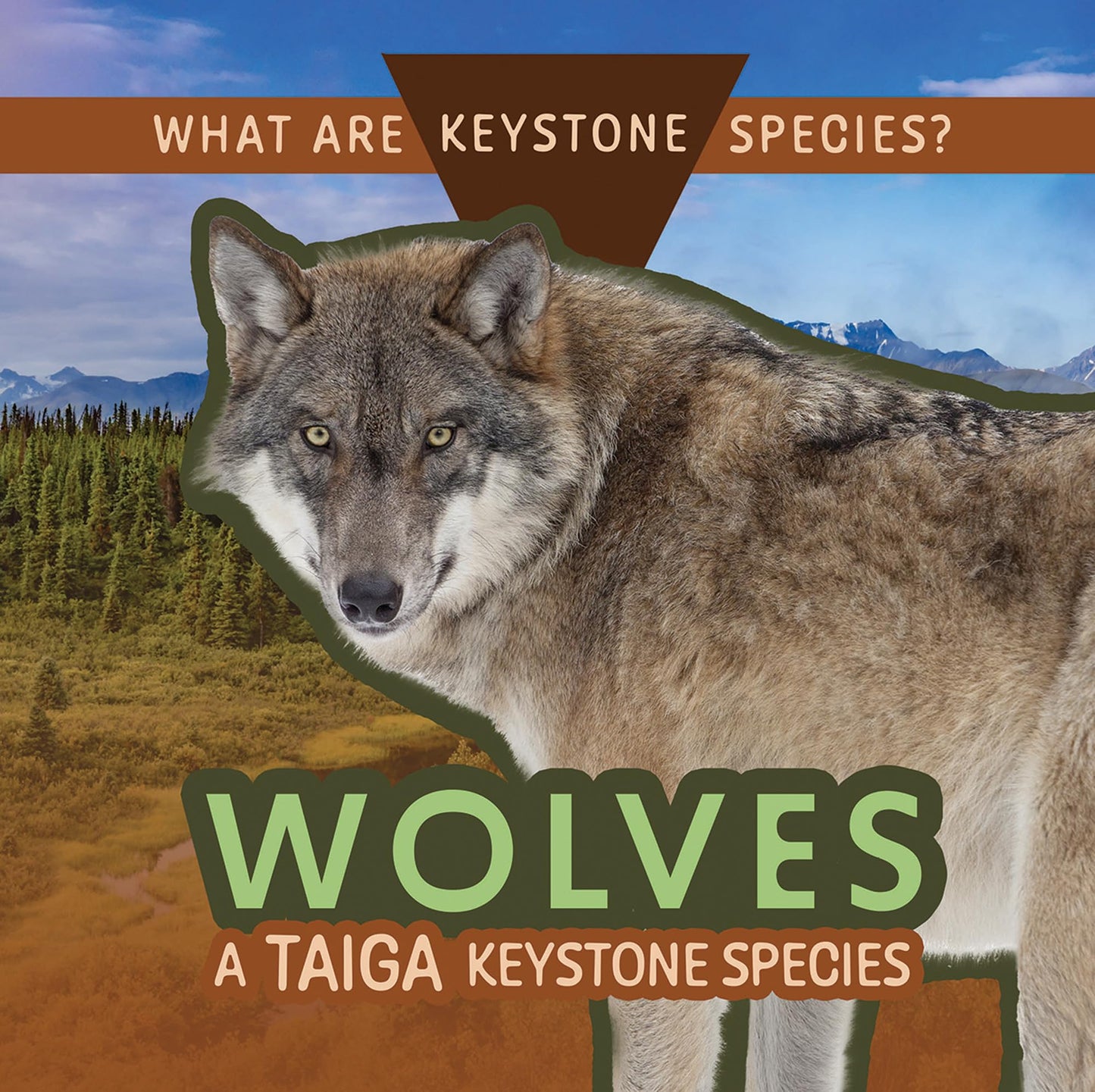 Wolves: A Taiga Keystone Species (What Are Keystone Species?)