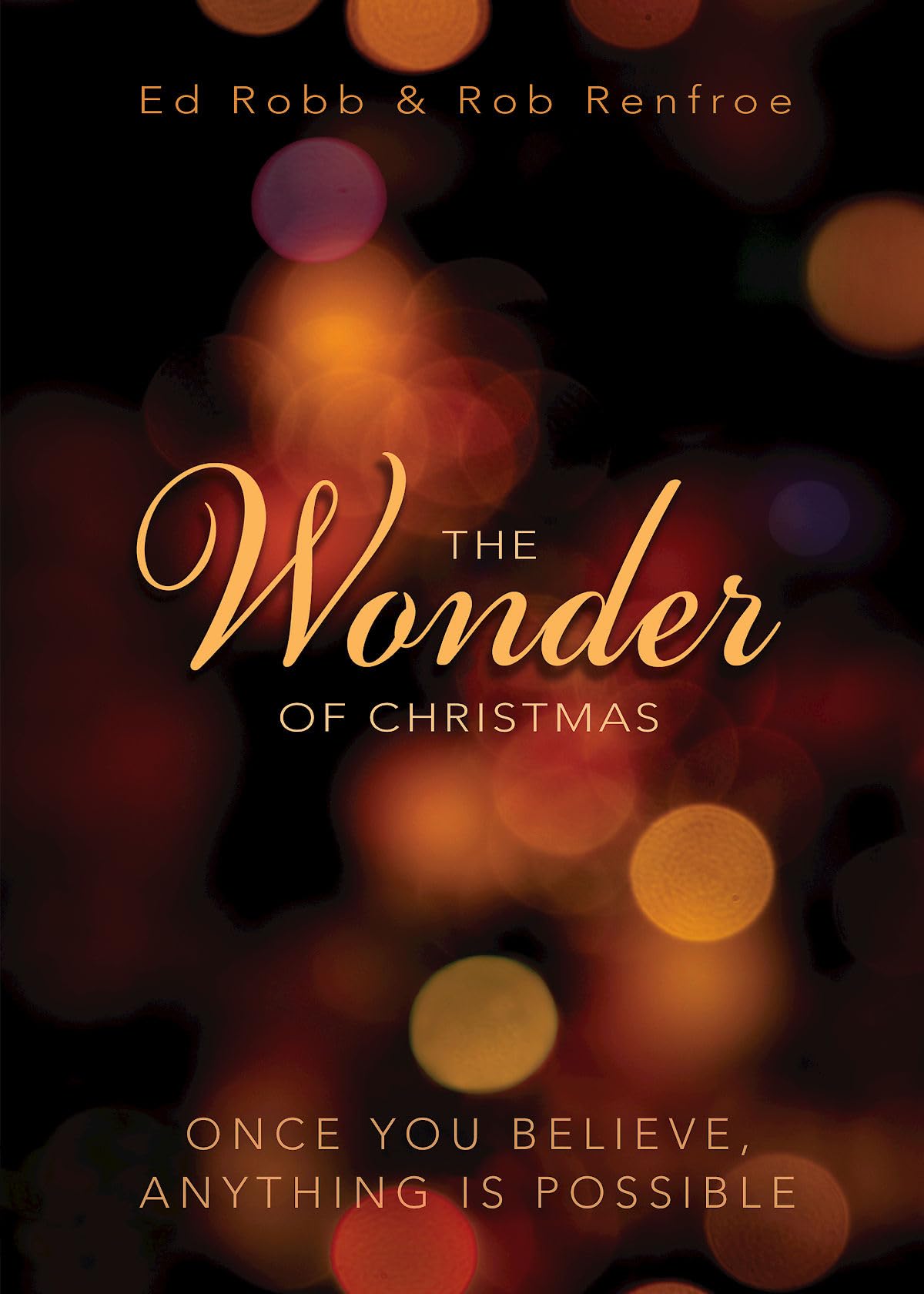 The Wonder of Christmas: Once You Believe, Anything Is Possible (Wonder of Christmas series)