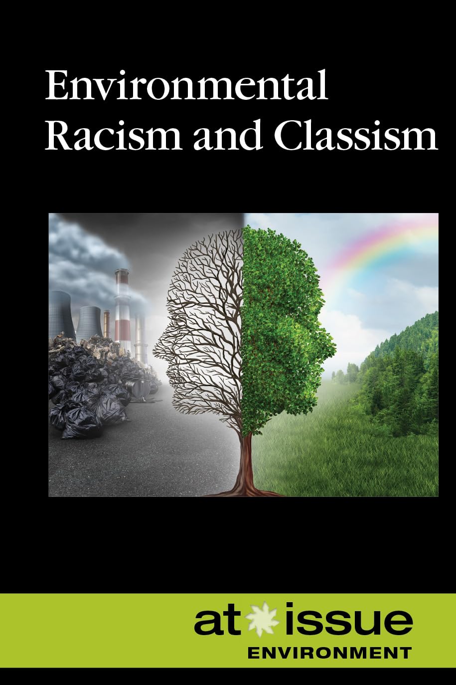 Environmental Racism and Classism (At Issue)