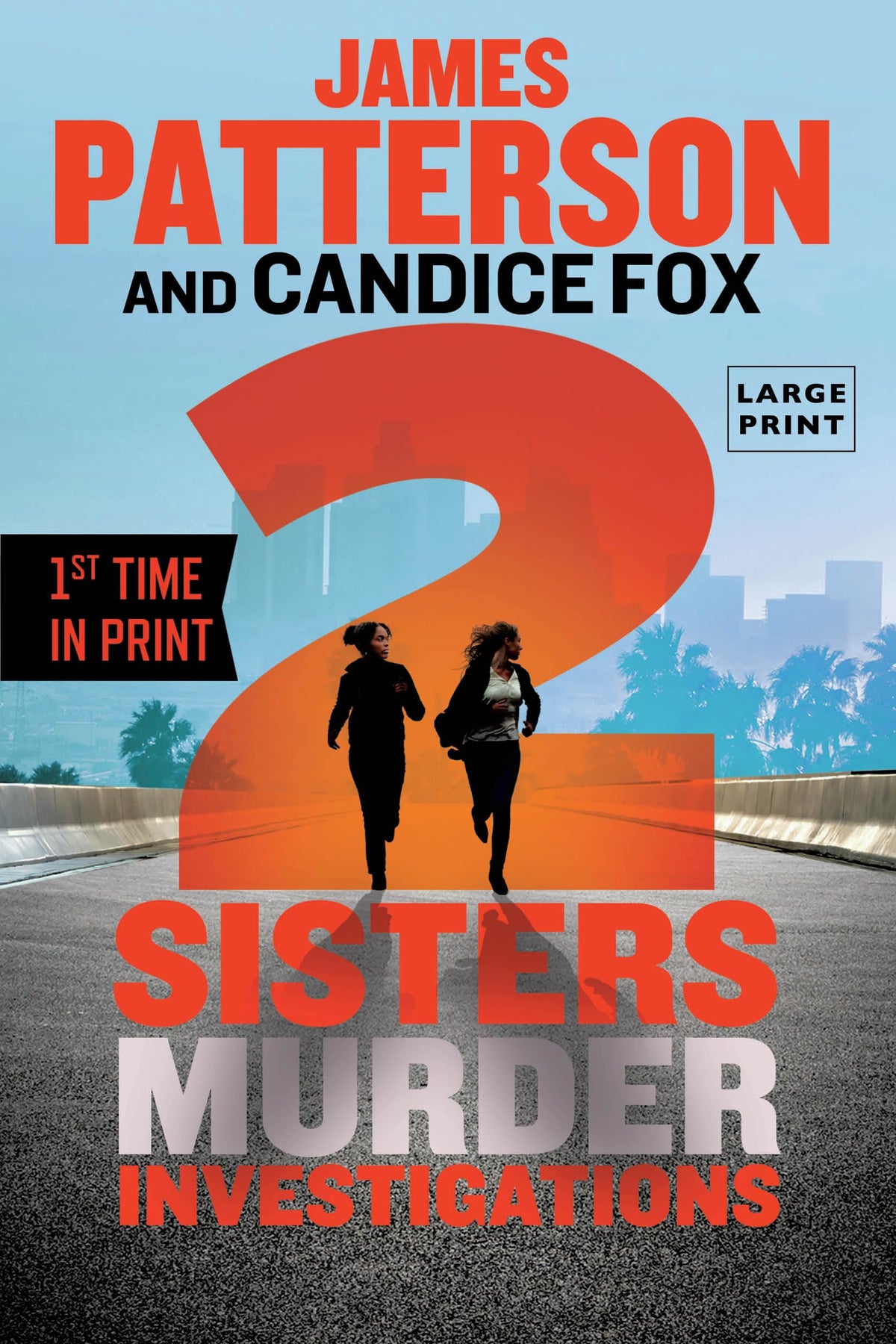 2 Sisters Murder Investigations: A Thriller