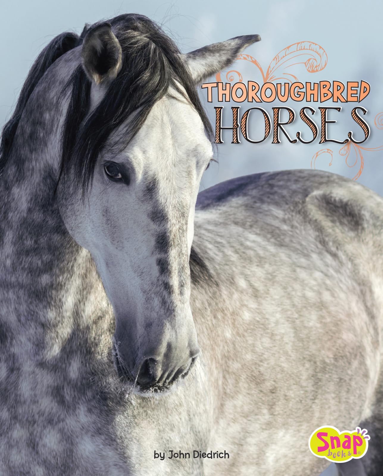 Thoroughbred Horses (Horse Breeds)