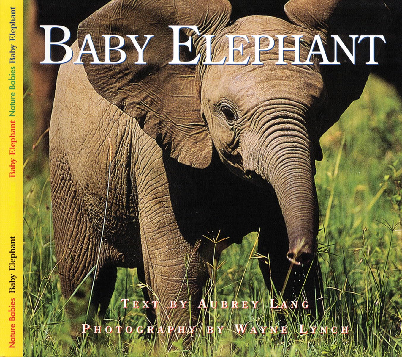 Baby Elephant (Nature Babies)