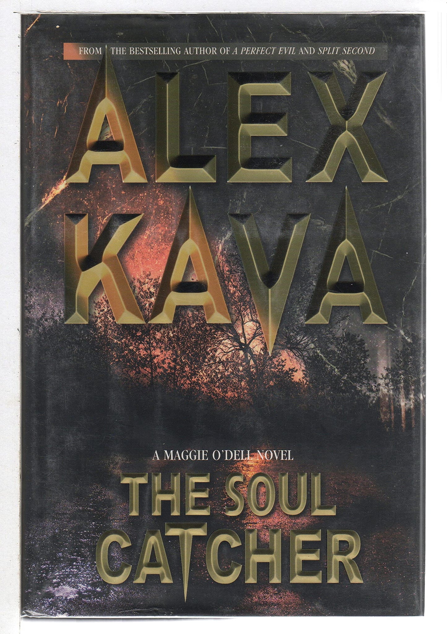 The Soul Catcher (Maggie O'Dell Novels)