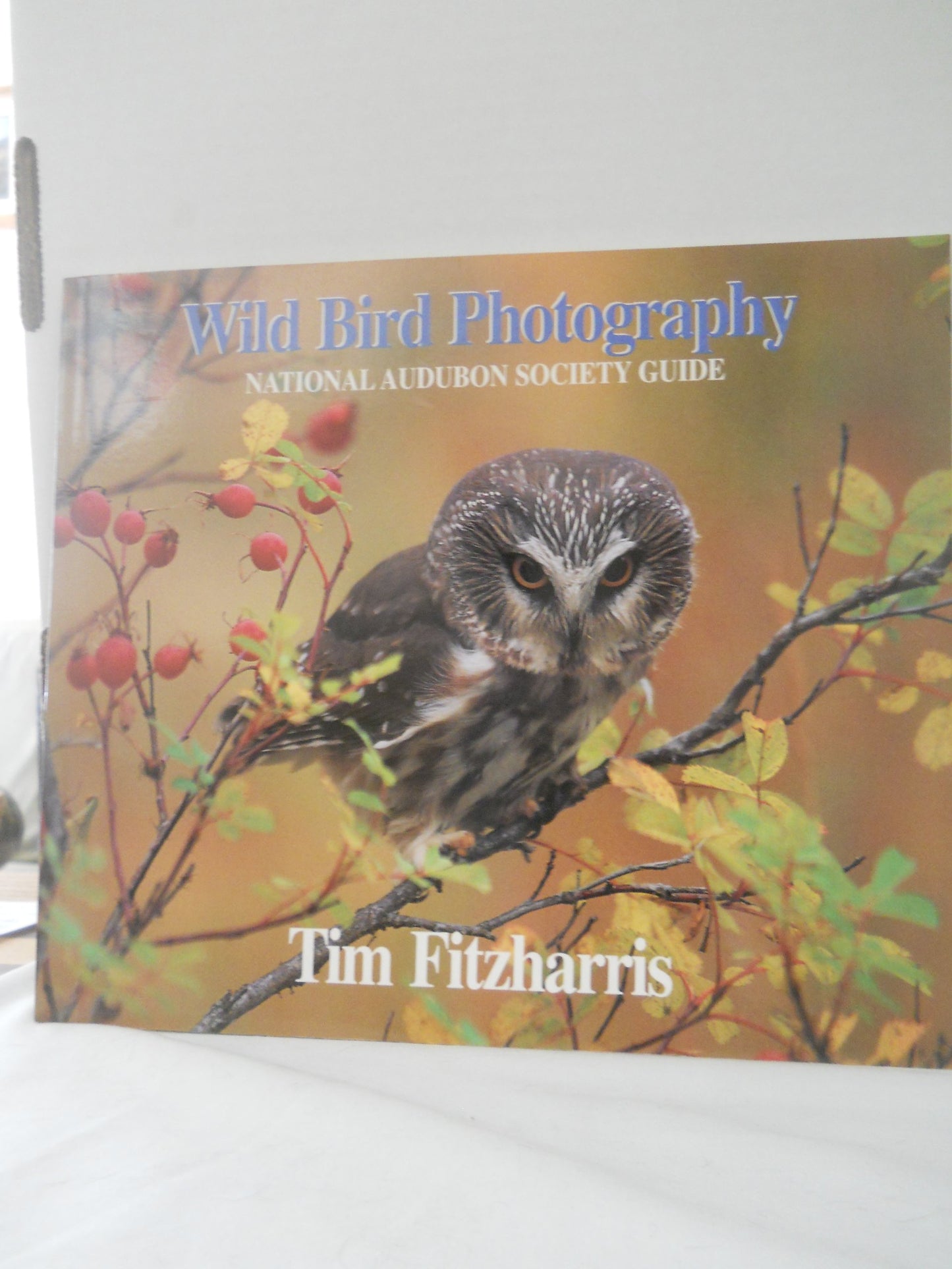 Wild Bird Photography: National Audubon Society Guide