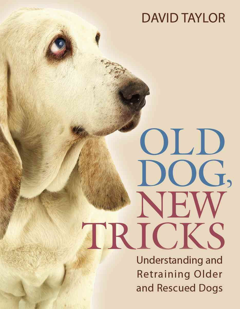 Old Dog, New Tricks: Understanding and Retraining Older and Rescued Dogs