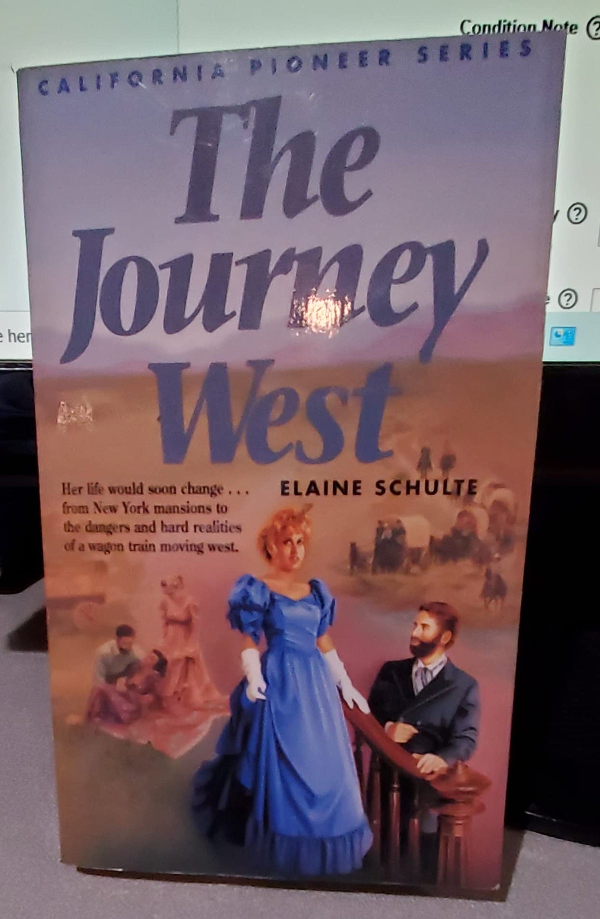 The Journey West (California Pioneer Series, Book I)