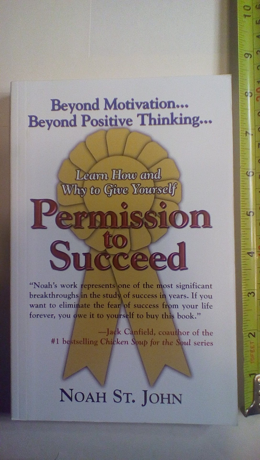 Permission To Succeed